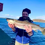 Camping Drommebrygga Ekkilsoya